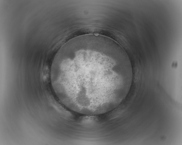 X0000113340077200909291040