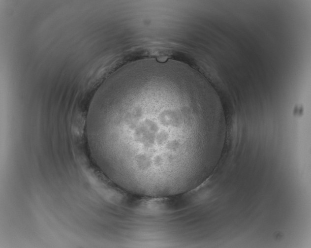 X0000113340078200909291040