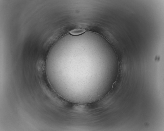 X0000113340079200909291040