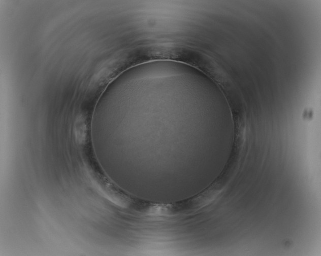 X0000113340080200909291040