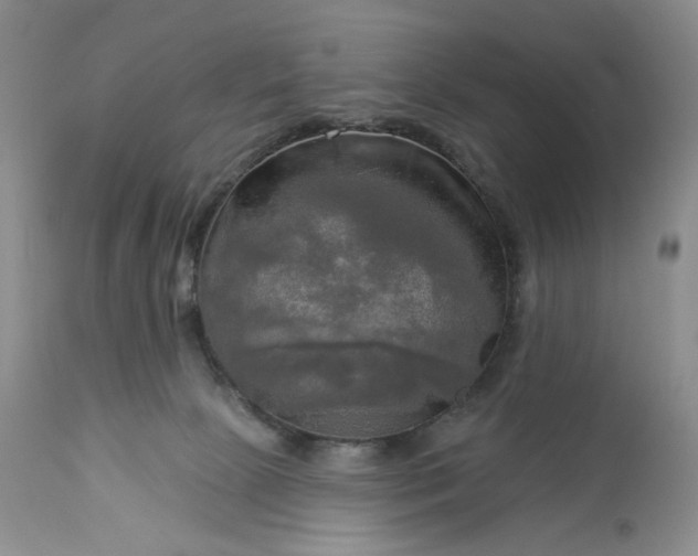 X0000113340081200909291040