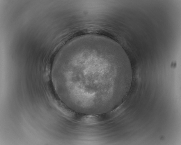 X0000113340082200909291040