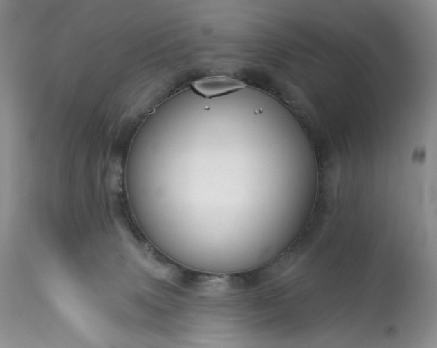 X0000113340083200909291040