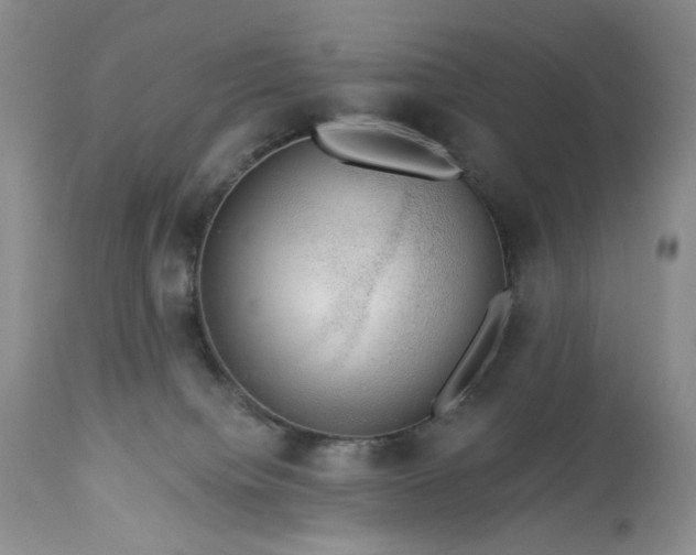 X0000113340084200909291040