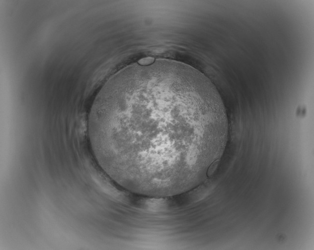 X0000113340085200909291040