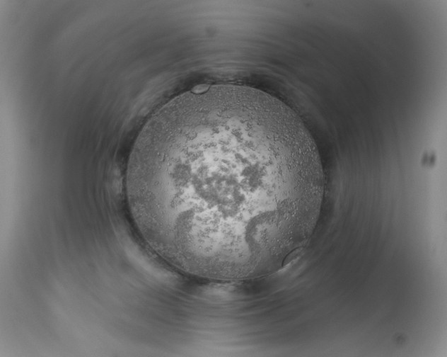 X0000113340086200909291040