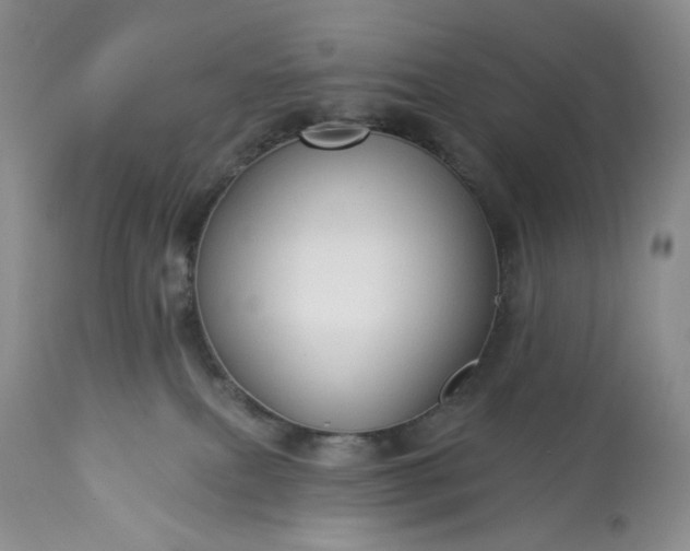 X0000113340087200909291040