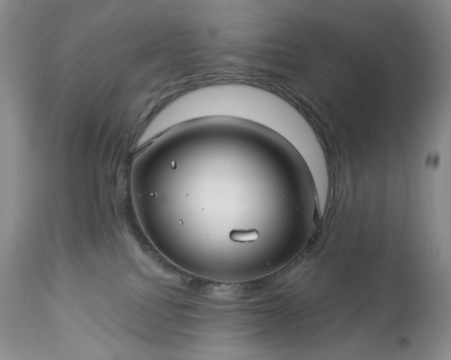 X0000113340088200909291040