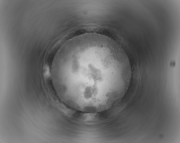 X0000113340089200909291040