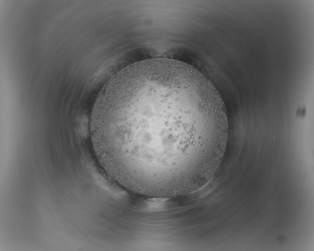 X0000113340090200909291040