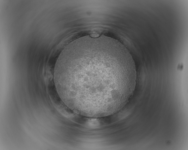 X0000113340091200909291040