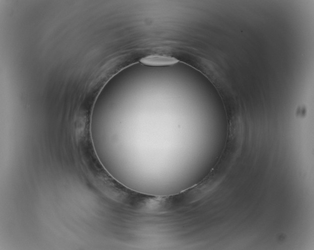 X0000113340092200909291040