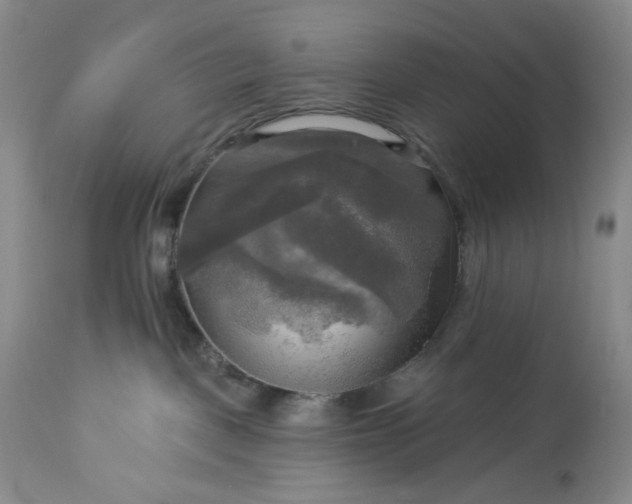 X0000113340093200909291040