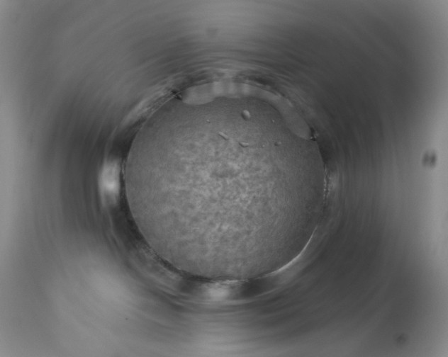 X0000113340094200909291040