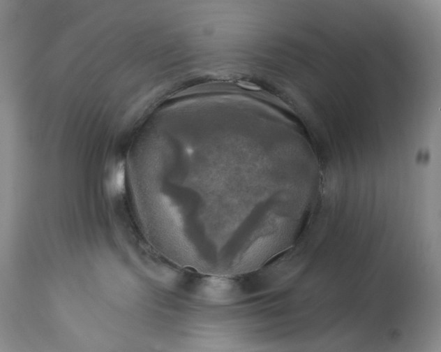 X0000113340095200909291040