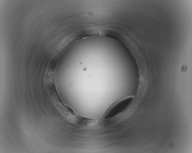 X0000113340096200909291040