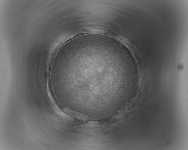 X0000113340097200909291039