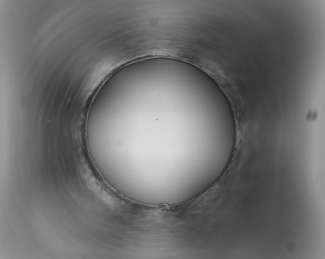 X0000113340098200909291039