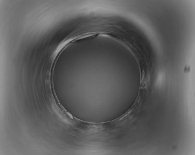 X0000113340099200909291039