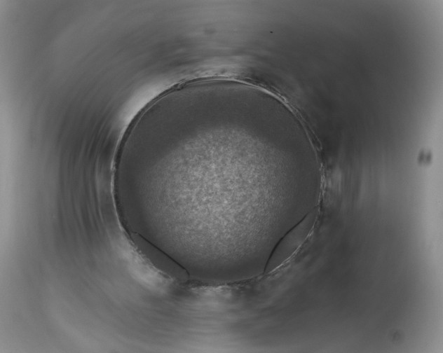 X0000113340100200909291039