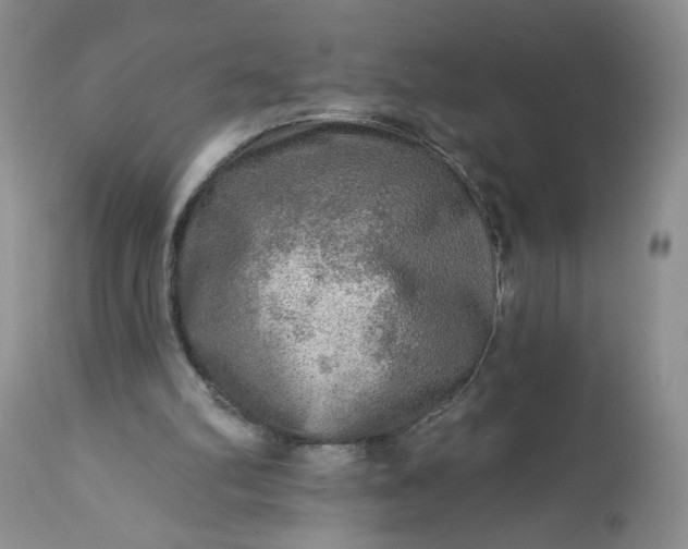 X0000113340102200909291039