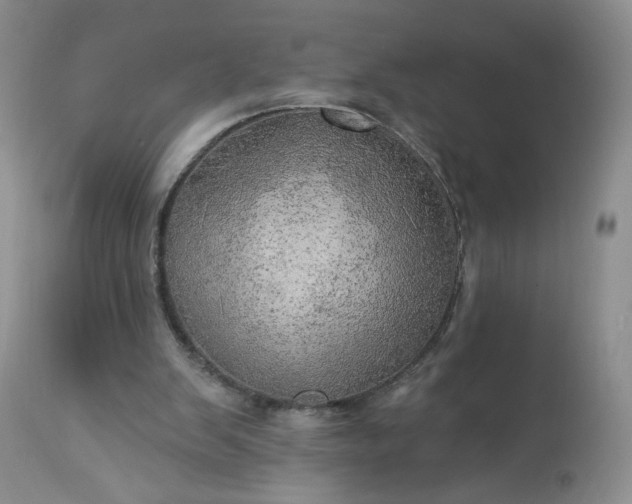 X0000113340103200909291039