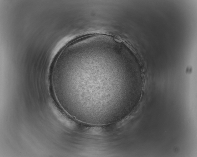 X0000113340104200909291039