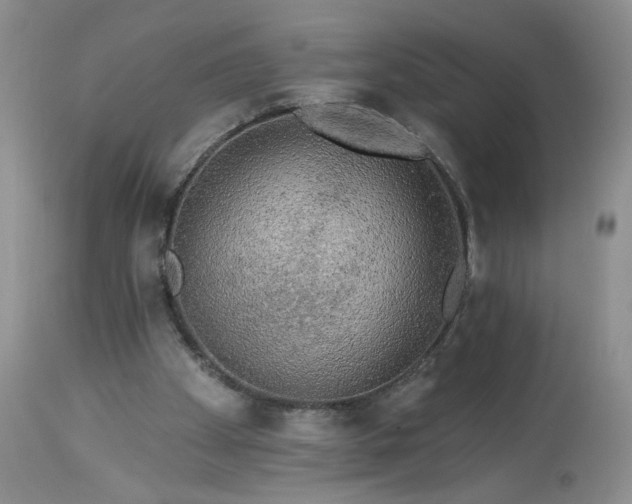 X0000113340105200909291039