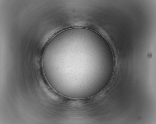 X0000113340106200909291039