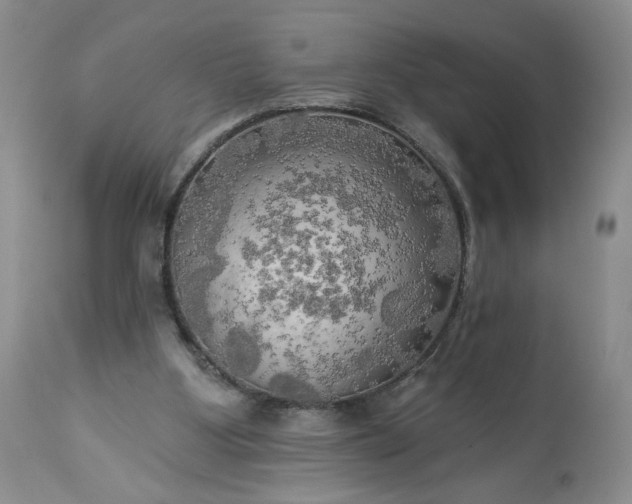 X0000113340107200909291039