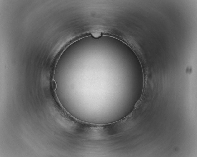 X0000113340108200909291039