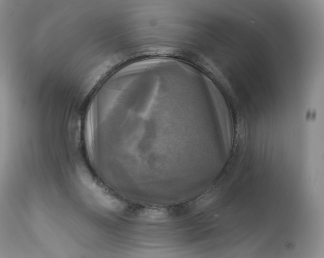 X0000113340110200909291039