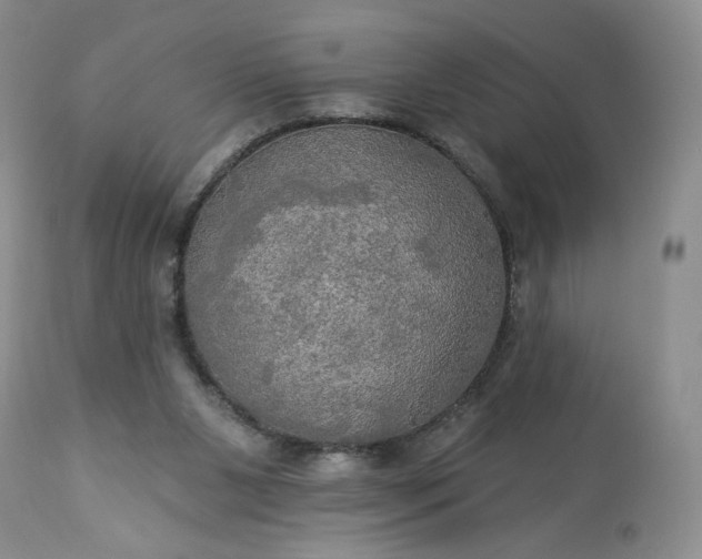 X0000113340111200909291039