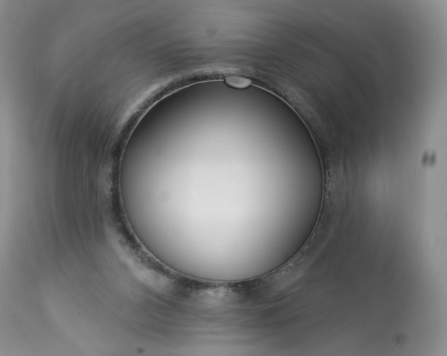 X0000113340112200909291039