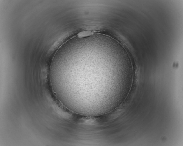 X0000113340113200909291039