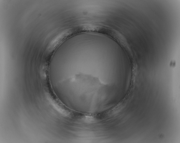 X0000113340114200909291039