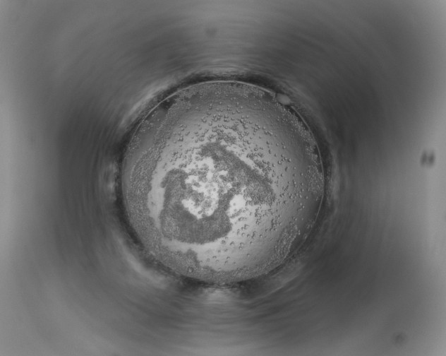 X0000113340115200909291039