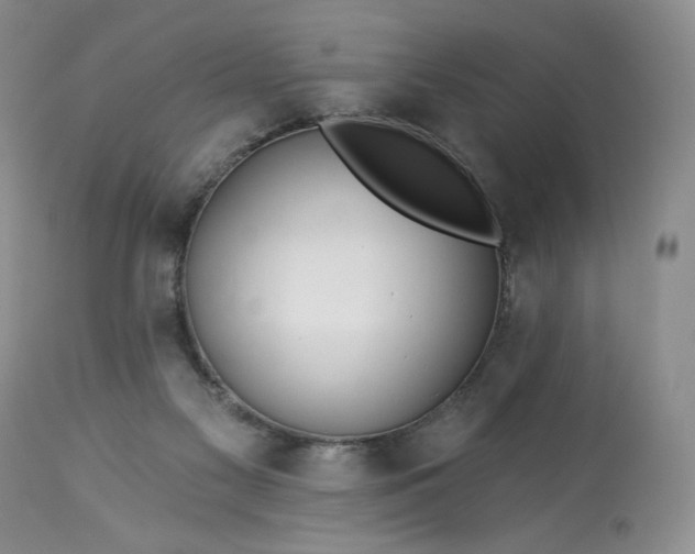 X0000113340117200909291039