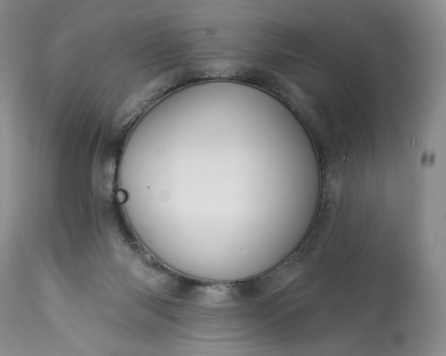 X0000113340118200909291039