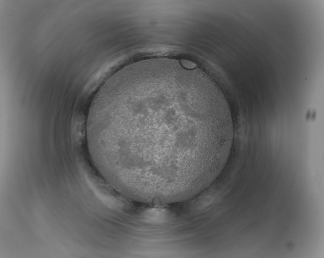 X0000113340119200909291039