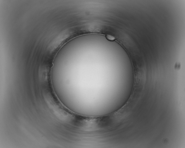 X0000113340120200909291039