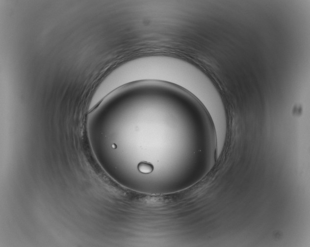 X0000113340121200909291039