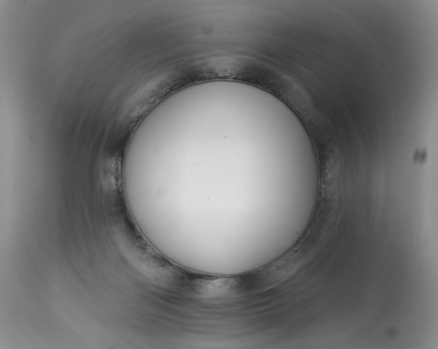 X0000113340122200909291039