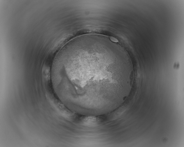 X0000113340123200909291039