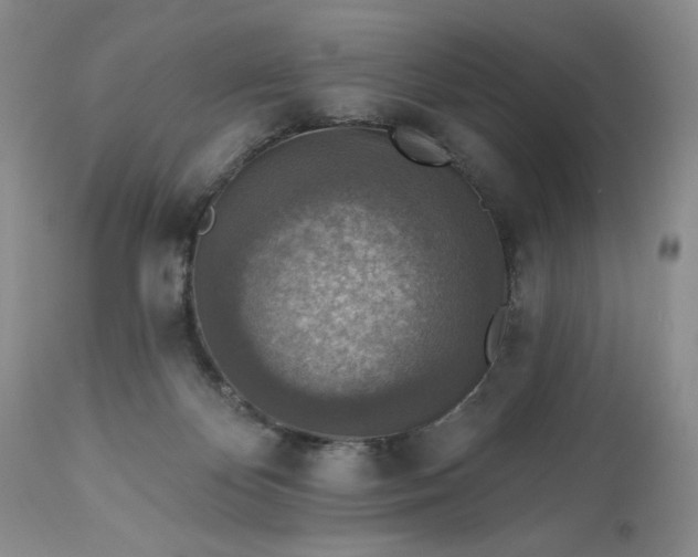 X0000113340124200909291039