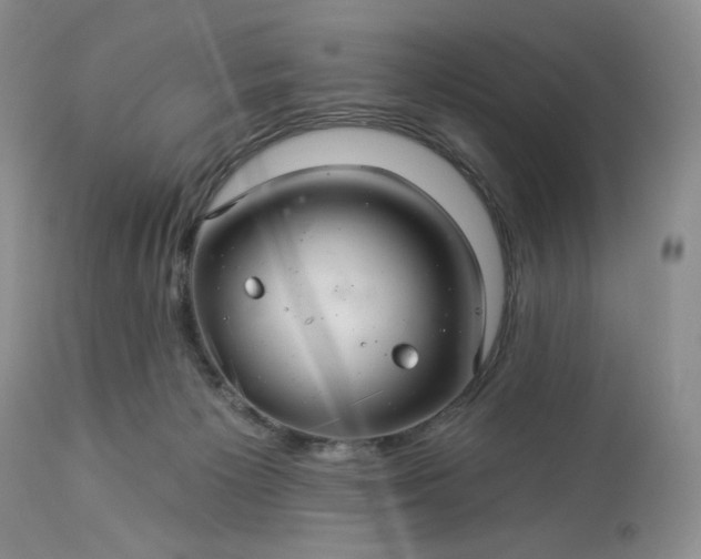 X0000113340125200909291039