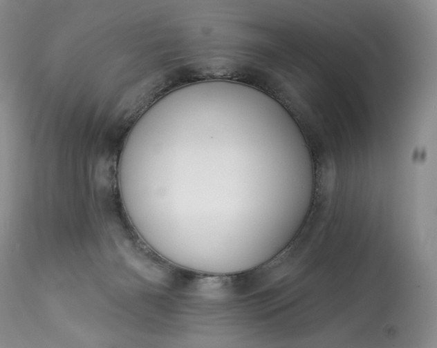 X0000113340126200909291039