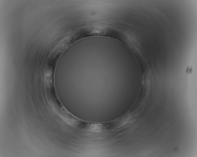 X0000113340127200909291039