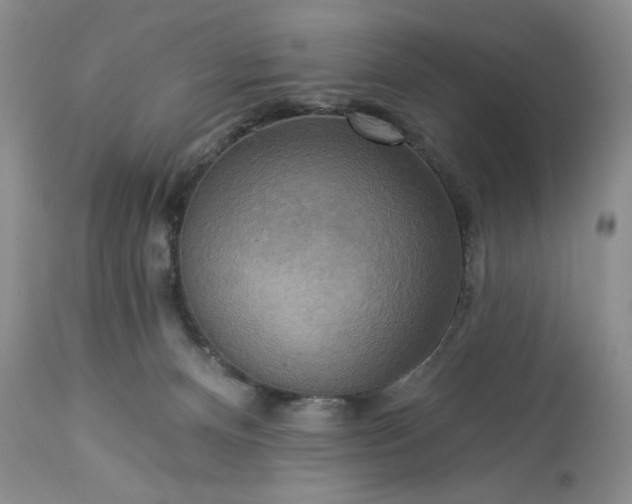 X0000113340128200909291039