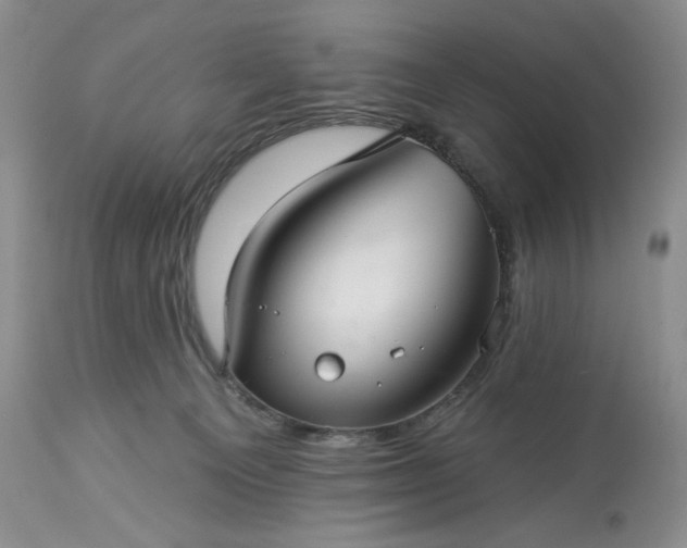 X0000113340129200909291039